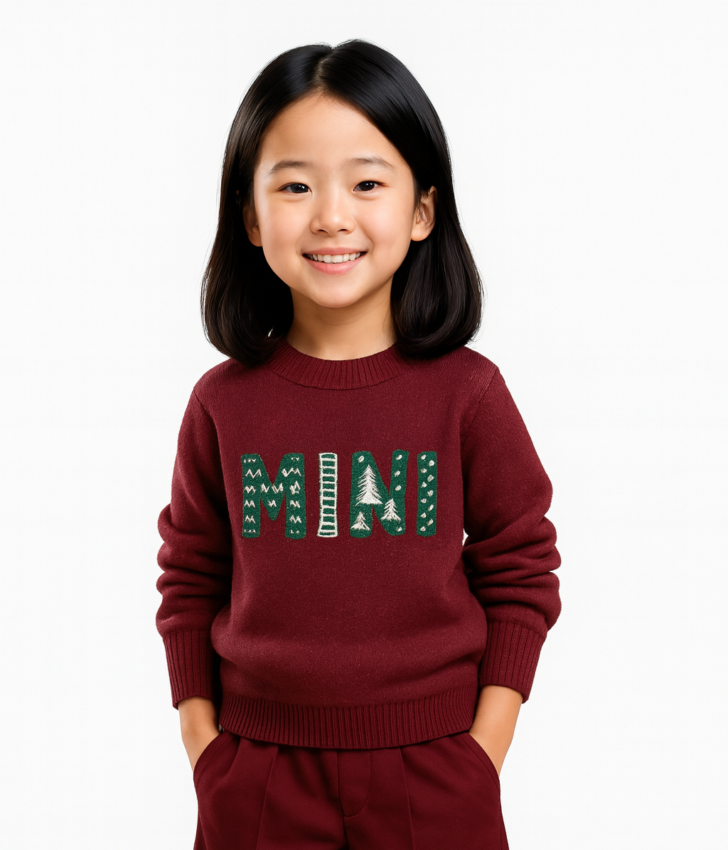 MINI Sweatshirt aus Babykleidung – personalisiert & bestickt – Erinnerungspullover für Kinder